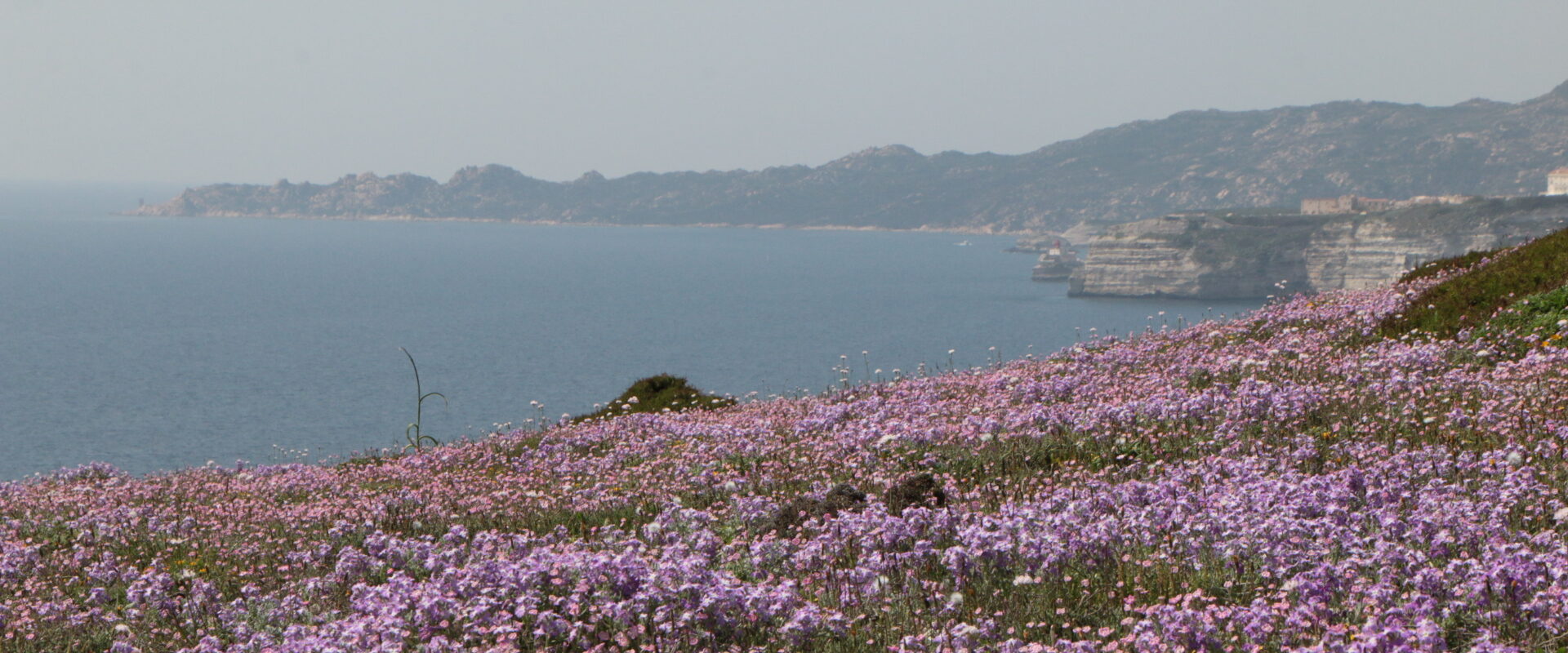 Corsica, Frankrijk