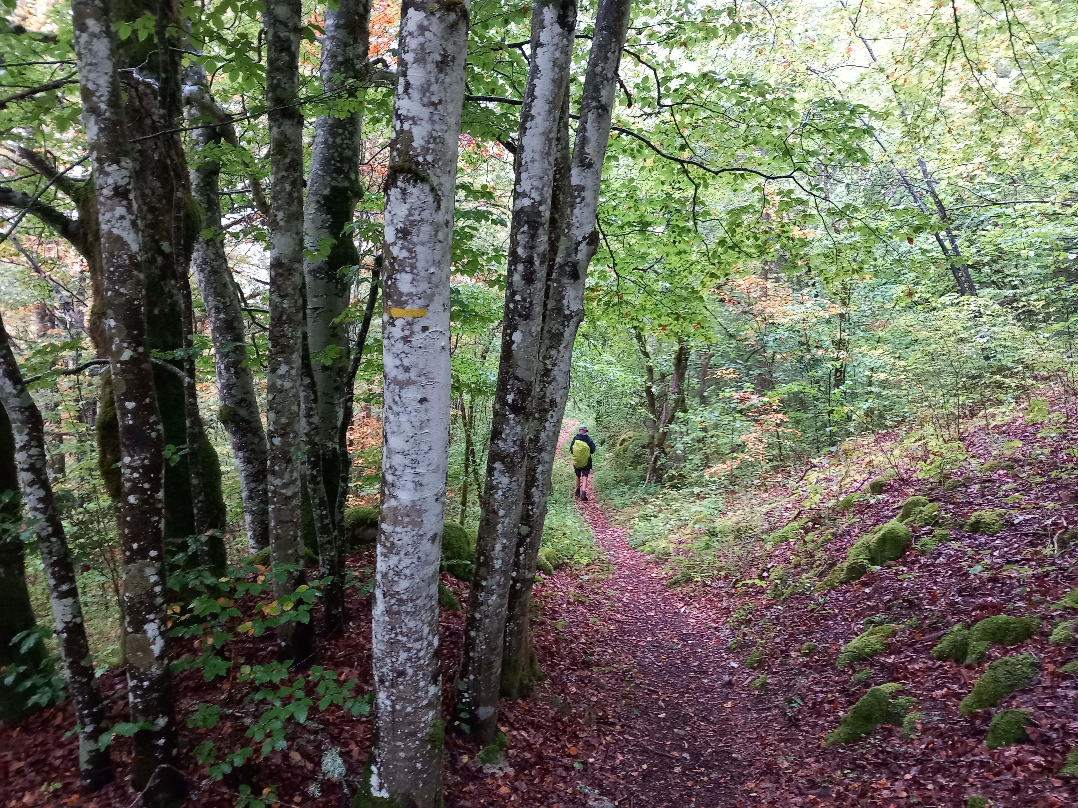 Haut-Jura Grandveau, Frankrijk