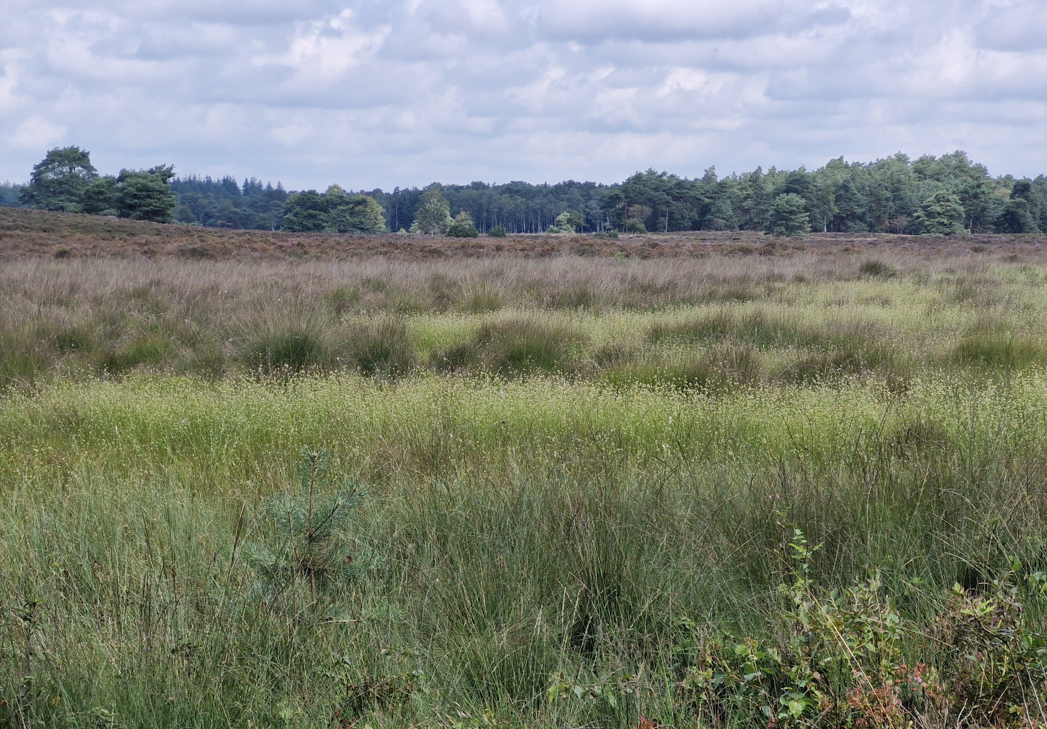 Eperwoud, Noord-Veluwe