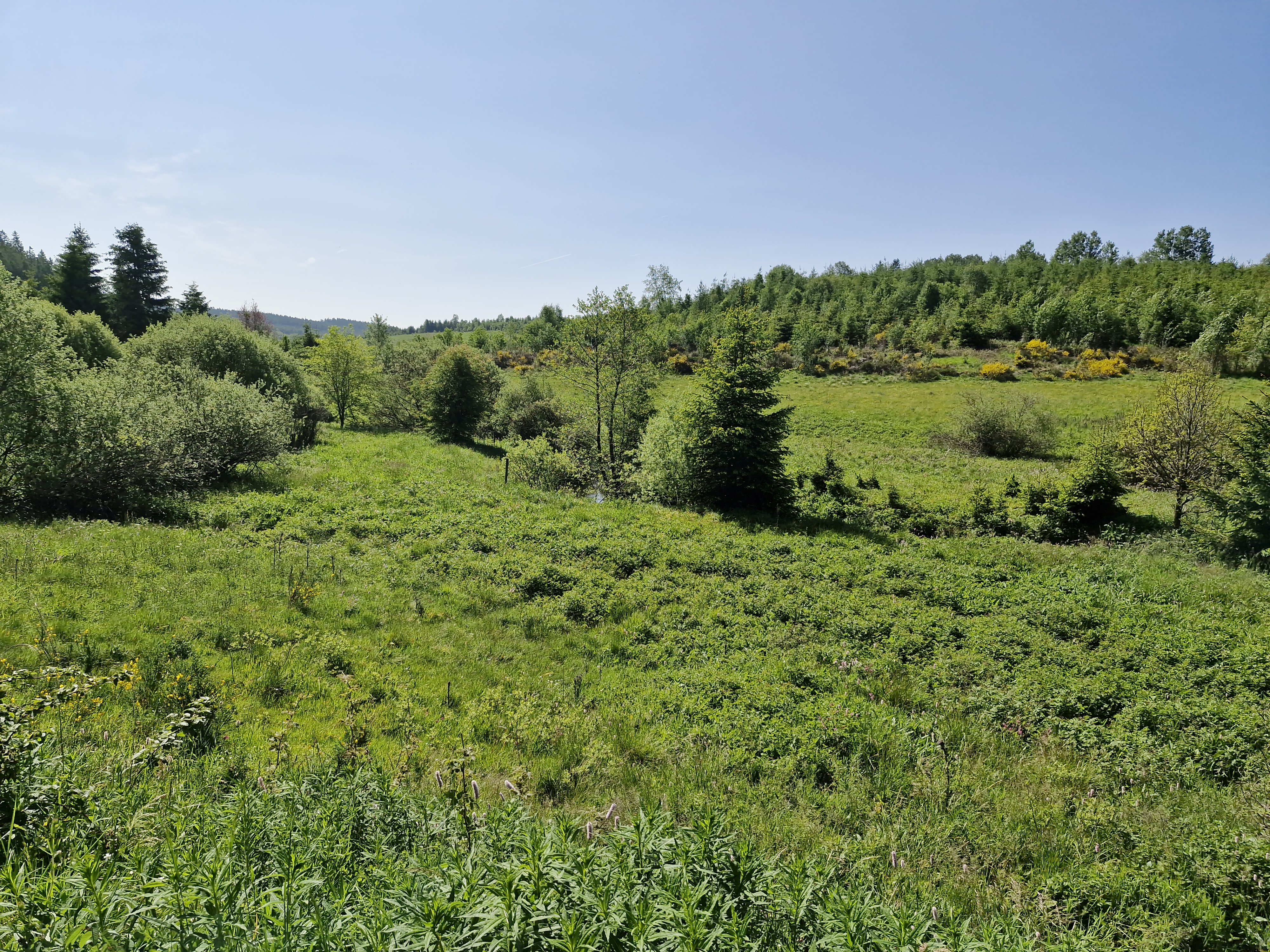 Kalk-Eifel, Duitsland