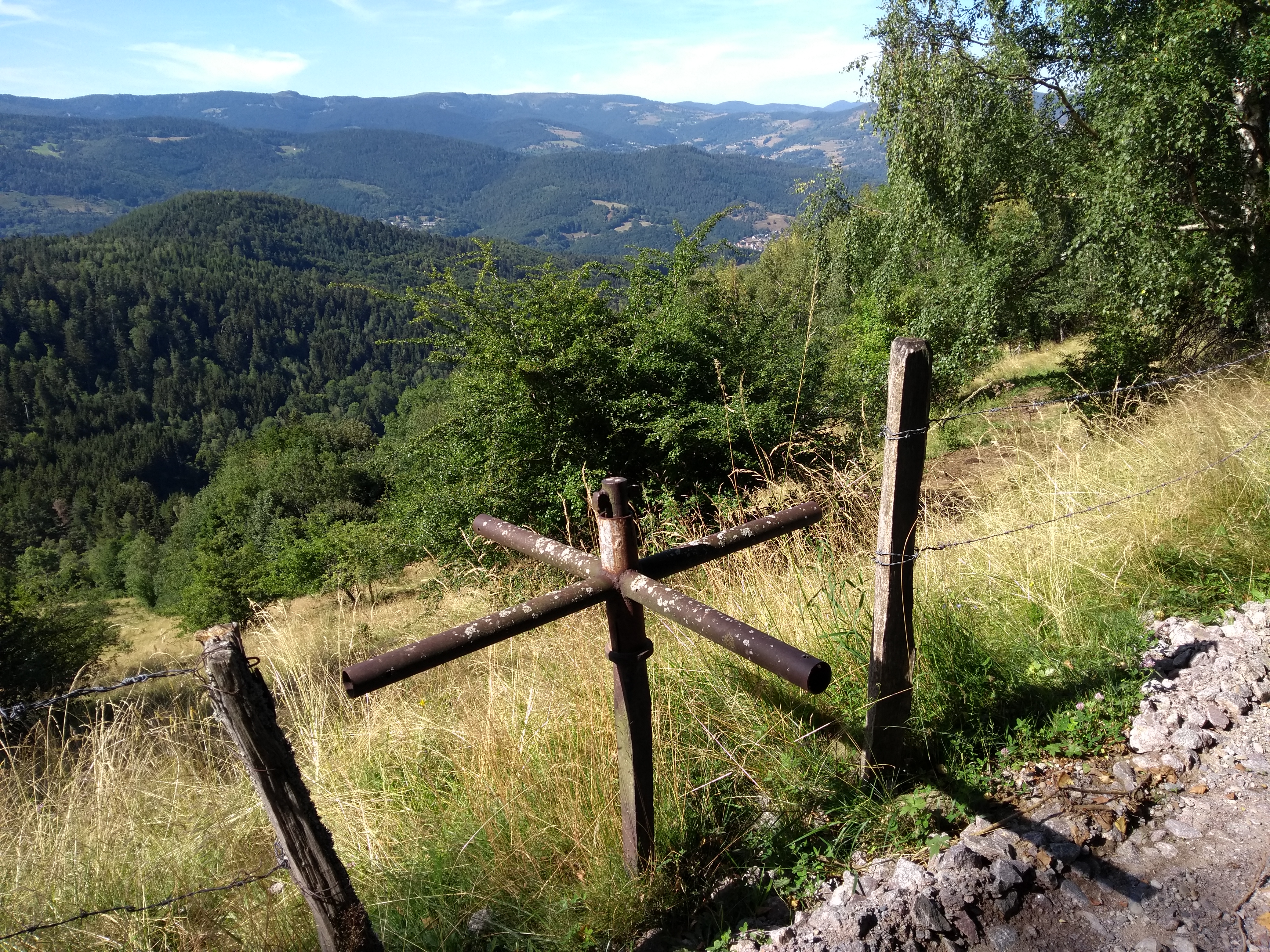 Centrale Vogezen, Frankrijk