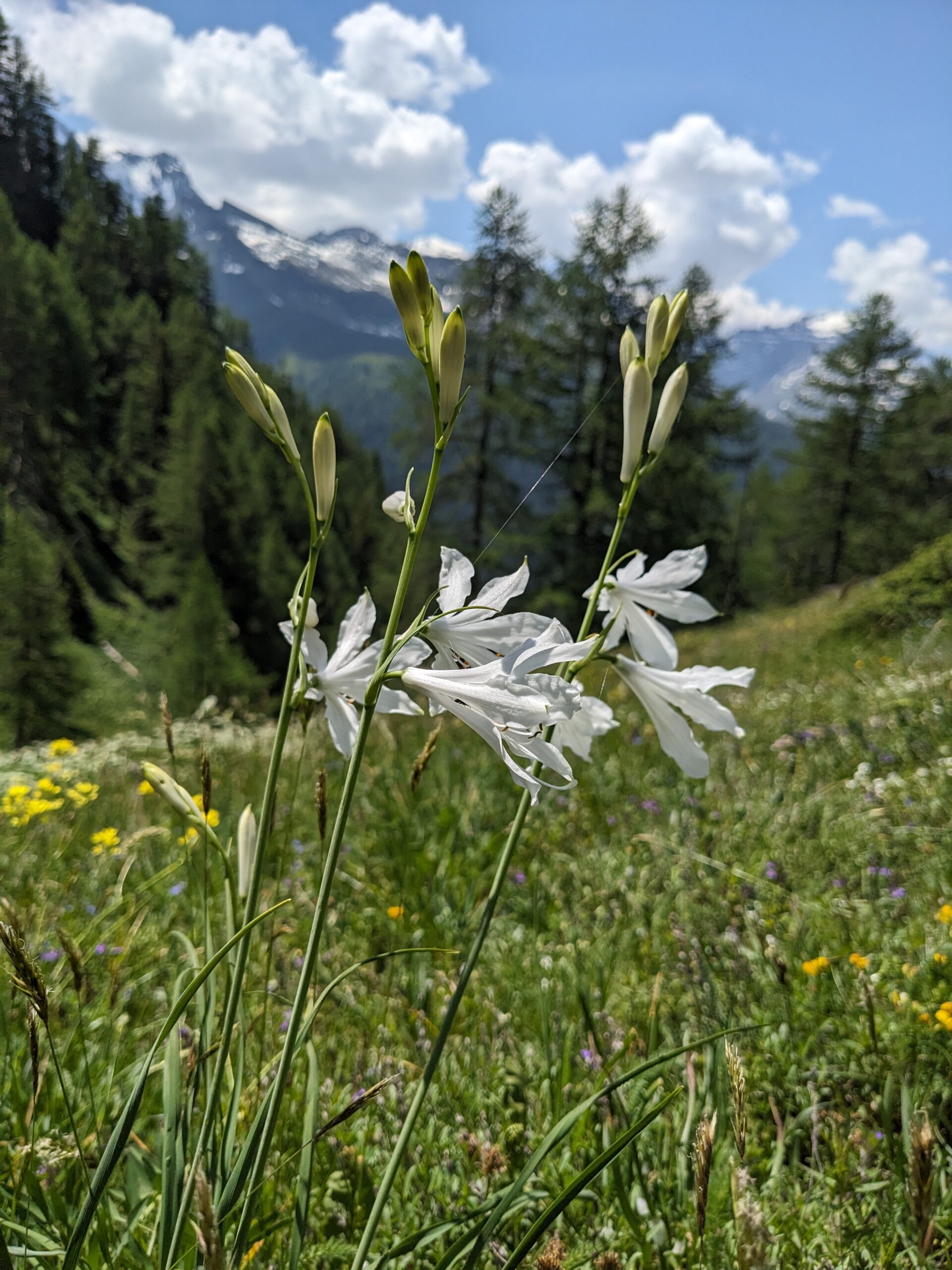 Queyras Hautes Alpes, Frankrijk